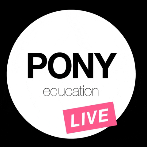 Live GIF by Pony Education
