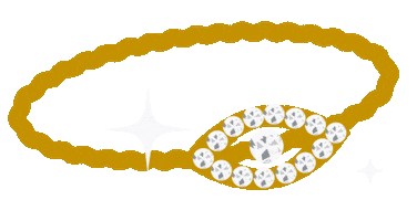 Bottega Paz Collection Sticker