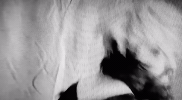 Wig GIF