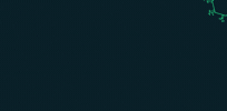 Cappricio Securities GIF