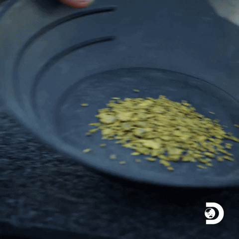 Money Gold GIF by Discovery