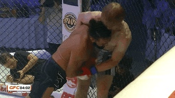 Mma GIF