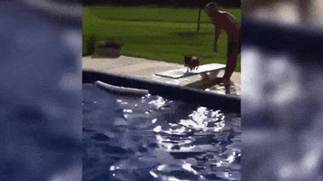 megscanlon #swimming #gods #divingboard #summer #pool #funny GIF