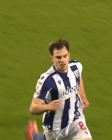 West Brom Wba GIF by West Bromwich Albion