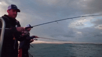 Fishing Assist GIF by Amiaud