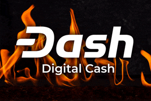 On Fire GIF by Dash Digital Cash