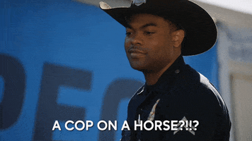 The Rookie Drama GIF by ABC Network