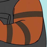 Bear Army GIF by Bearycoin