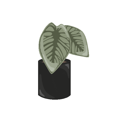 Plant Sticker