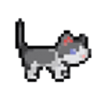 Cat Sticker