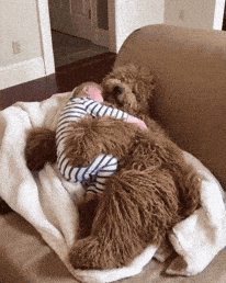 Giphy - Cute Cuddle GIF by MOODMAN