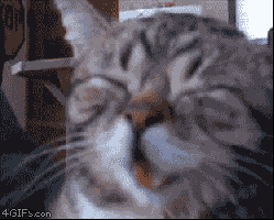 GIF na in-upload ni Nate