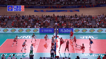 Celebrate All Together GIF by Volleyball World