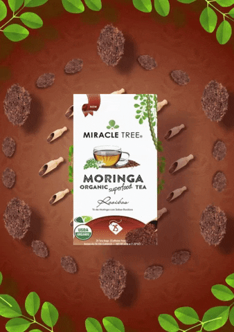 Miracle Tree GIF