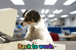 Working Dog Reaction GIF by Justin