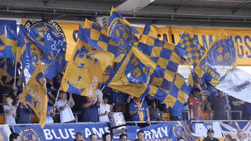 Fans Standing GIF by Shrewsbury Town