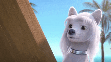 Dog What GIF by MightyMike