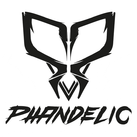 phandelic epic hardstyle gabber defqon GIF