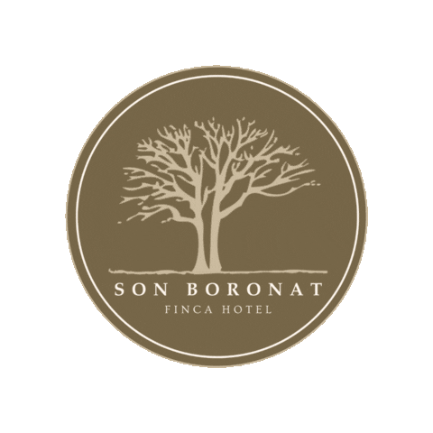 Son Boronat Sticker