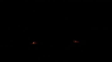 Grainest GIF