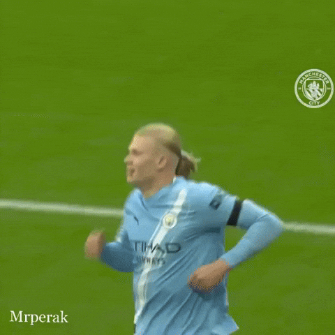 Premier League Norway GIF