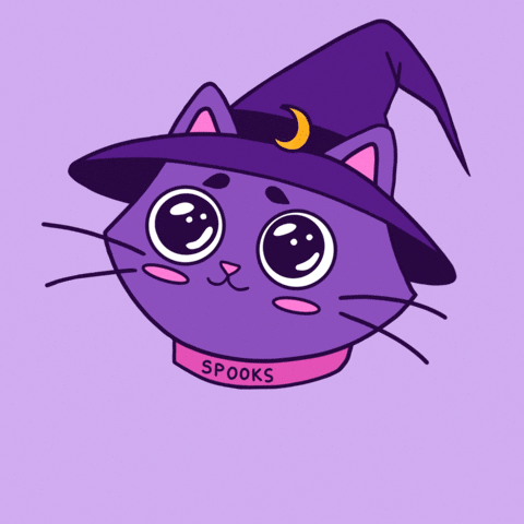 Witch Cat Gif GIF by Spooks The Cat