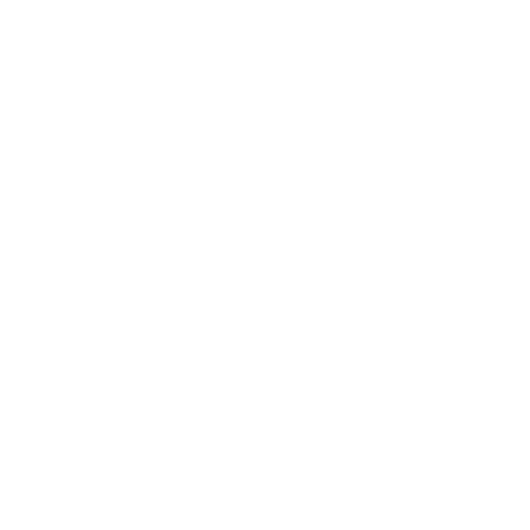 Sport65 Sticker