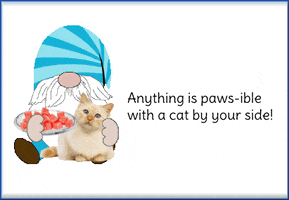 Cats Gnome GIF