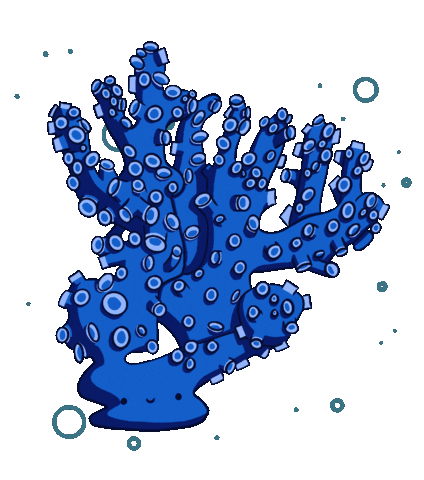 Coral Sticker