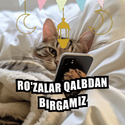 Ramadankareem Catsmeme GIF