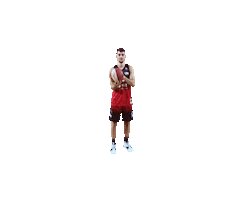 Spirou Charleroi Sticker