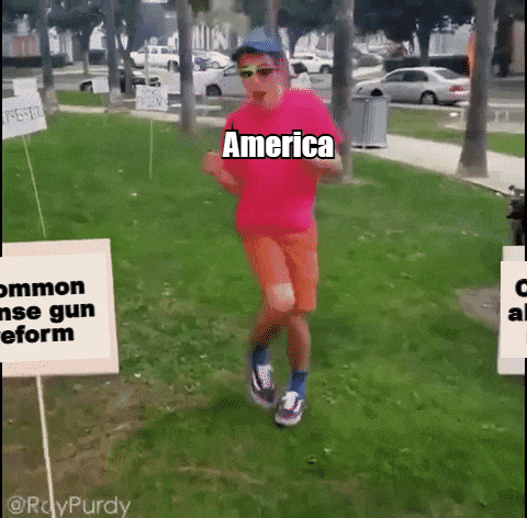 Meme gif. Person wearing a bright pink shirt and neon green sunglasses dances without a care in the world. In front of the person are two blank white picket signs stuck in the ground. The person dancing is labeled, "America," while the two signs are labeled, "Common sense gun reform," and "changing absolutely nothing."