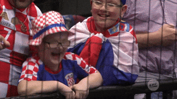 Happy Croatia GIF by EHF