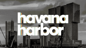 Hh Candidgroup GIF by Havana Harbor