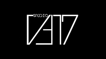 Vf17 GIF by StudioVF17