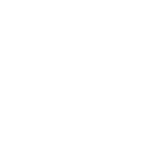 FairSport International Sticker