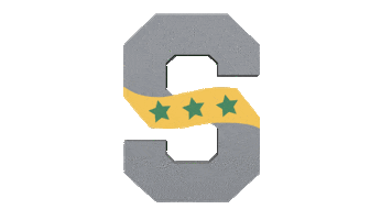 Adlai E. Stevenson High School Sticker