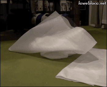 giphy.gif