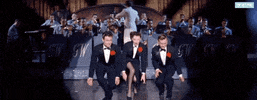 stand up dancing GIF by Turner Classic Movies