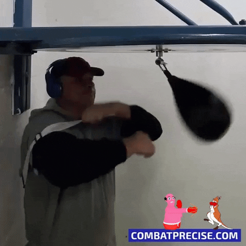 Boxing GIF