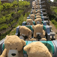 Roller Coaster Bear GIF by Walibi Holland