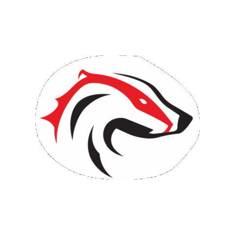 Brock BUSU Sticker