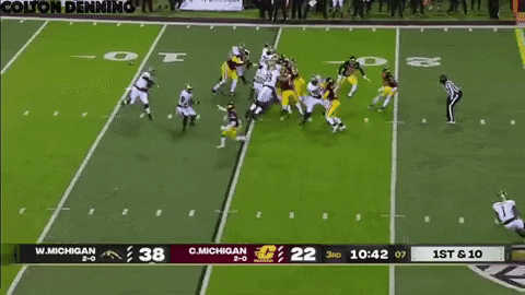 Western Michigan GIF