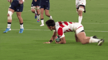 Japan Rugby Celebration GIF by World Rugby