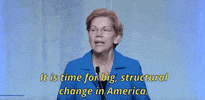 Elizabeth Warren 2020 Race GIF by Election 2020