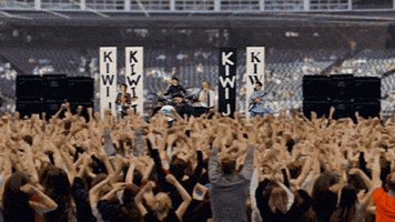 Live Music GIF by Sub Pop Records