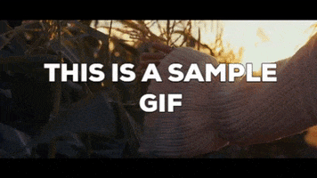 Animated GIF