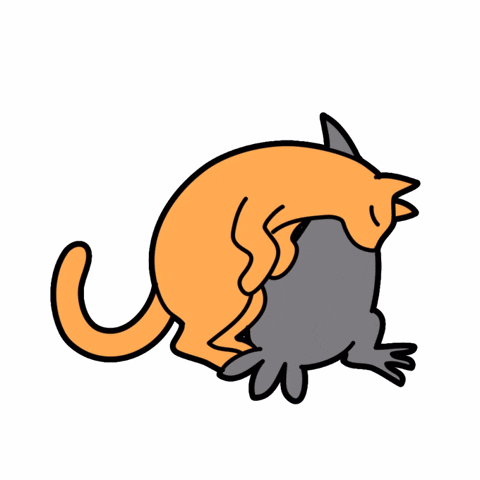 Vmumok GIF