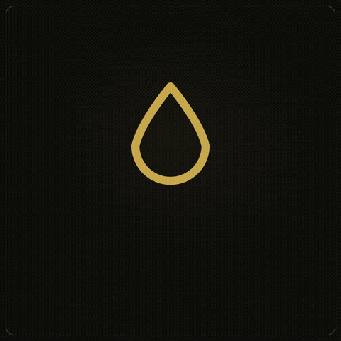 Parfume GIF by Dekant Atelier