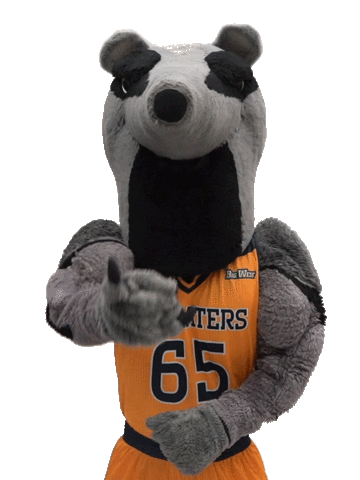 uci anteater plush